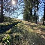Lejlighed Hohensee Eg