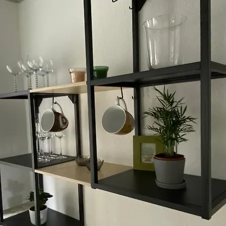 Hohensee Eg * Clausthal-Zellerfeld