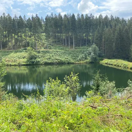 Hohensee Eg * Clausthal-Zellerfeld